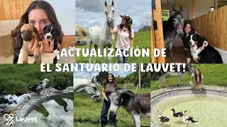 Mi Santuario Sigue Creciendo | Te Cuento Todo: Avances, Nuevos Animales y Sue&ntilde;os Cumplidos - Lauvet