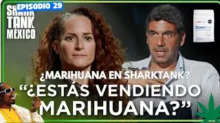 &iquest;Qu&eacute; pas&oacute; con CBDBIES de SharkTank Mexico? T.6 Episodio 1. &iquest;Sedjueron al tanque o le 