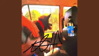 Lofi Beats n Rap Lyrics