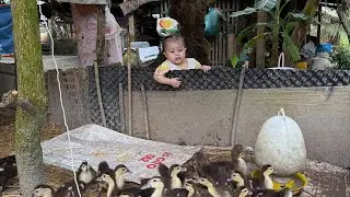 Thị Na 14 tháng về chơi nhà ông Tư có con vịt con bò Na thích lắm 