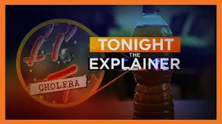 Explainer | Cholera outbreak reported in various parts of the country