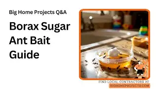 Borax Sugar Ant Bait How-To With Peanut Mix