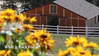 Rack Focus - Quick Example and Definition