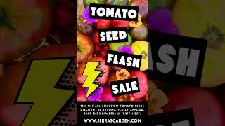 Tomato Seed Flash Sale! Stock up on unique heirloom tomato seeds for your garden