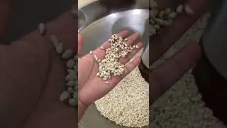 Safflower oil making | Safflower oil for cooking | Safflower oil benefits | Dhanavantri Cold Pressed