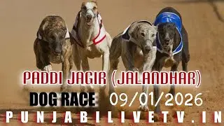 LIVE PADDI JAGIR [ JALANDHAR] DOG RACE 09 JAN 2026