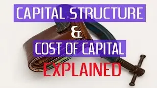 ОБЪЯСНЕНИЕ СТРУКТУРЫ КАПИТАЛА И СТОИМОСТИ КАПИТАЛА
