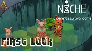 Niche - First Look