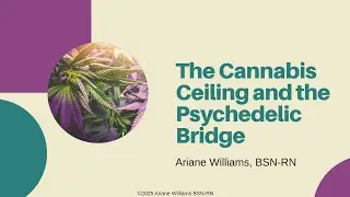 How microdosing can fill in the gaps of cannabis medicine