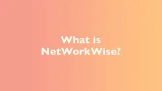 What Is NetWorkWise?