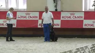 FCI Obedience World Championship 2016