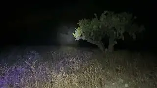 mi amigo beso ala bruja Laura y sus guardianes nos atacan😳😱