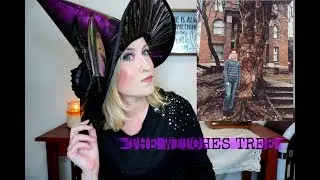 THE WITCHES TREE- local spot for witches that caused a tornado? Louisville, Ky
