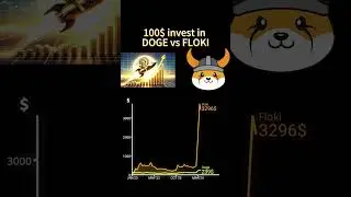 100$ invest in DOGE vs FLOKI in January 2023 #crypto #memecoin #dogecoin #invest