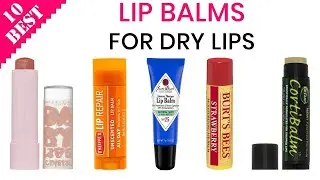 ✅ Top 5: Best Lip Balm For Daily Use 2022 [Tested & Reviewed]