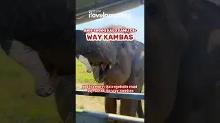 Road Trip ke Way Kambas, Kira-kira abis berapa ya?