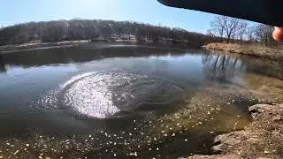 ￼Pequest Trout Hatchery -5 BIG BREEDERS 9lbs +!!! Barbours Pond west Paterson April 8,2025
