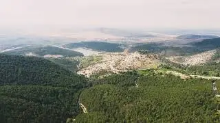 Konya / Selçuklu Kestel Ormanı ve Barajı