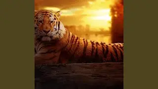 Lone Tiger