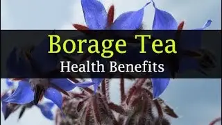 Borage Tea Health Benefits - Stress Buster, Detox, Hormonal Imbalance