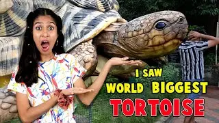 I Saw World's BIGGEST TORTOISE | OMG😱😱