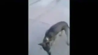 कहेम 1 2 3 चालू कर दिहि  मशीन