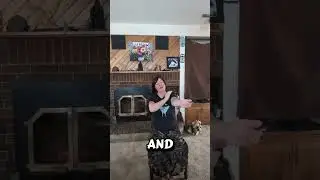 From Fight-or-Flight to Rest | Chair Yoga & Meditation for Chronic Pain