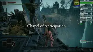 ER Any% No Hit Run with the Iron Balls/Starfists