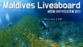 몰디브 리브어보드#3 [4k] l flynplay l maldives liveaboard l 만타를 2시간 넘게 보다😳 ㅣ 당게티섬으로 외출 ㅣ Diving Vlog 해외편✈️