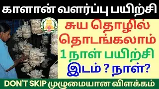 காளான் வளர்ப்பு பயிற்சி 2025 | mushroom cultivation |kalan valarpu training