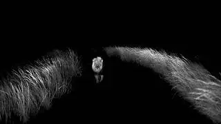 He Xuntian - Journey