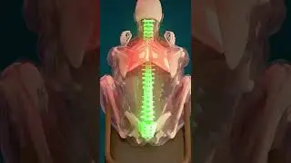 Release upper back tension . #youtubeshorts #strenghtraining #exercise #yoga