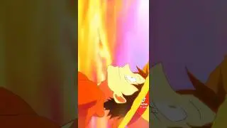 the beauty of One piece