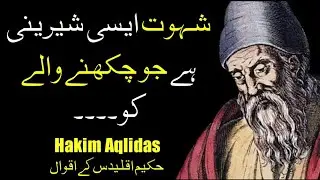 Aqlidas Quotes in Urdu\Hindi | Hakim Aqlidas Quotes in Urdu  | حکیم اقلیدس  کے مطابق کامیابی کا راز