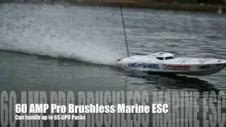 Venom King of Shave&reg; P1 Brushless R/C Powerboat