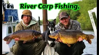 River Carp Fishing. New Boat RECORD! & 40LB Brace. River Trent. EP 21.