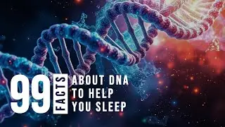 Relaxing Facts About DNA To Fall Asleep To