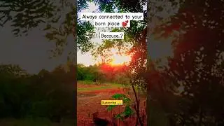 Village quotes ❣️ | our childhood place 🥺 | #love #childhood #village #desi #shorts #viral #trending