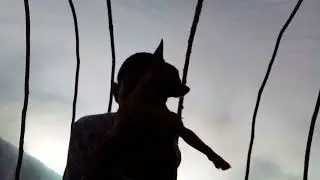 Amora  Contando  Hist&oacute;ria de jesus  cantando  e Da&ccedil;ando M&uacute;sica Natalina 