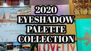 EYESHADOW PALETTE COLLECTION 2020 | HIGHEND + DRUGSTORE PALETTES