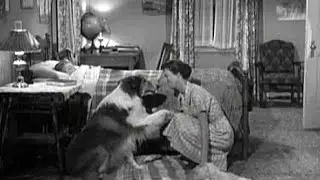 Lassie - Episode #137 - 