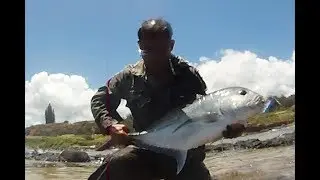Whipping techniques for GT(giant trevally) 31# and Omilu(bluefin trevally)3a