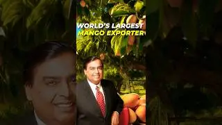 Ambani's Mango Orchard🥭  #shorts #mango #mukeshambani