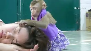 Wow Baby Monkey Mori Take Care Mom To Sleep Well