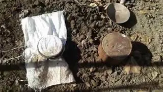 Виноград. Посадка технических сортов винограда ч.2