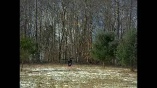Sledding Tree & Hat Removed