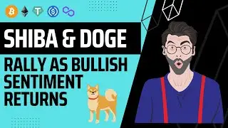 Bullish Sentiment Drives Shiba Inu And Doge UP | Daily Market Bytes