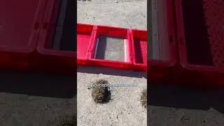 Ergebnis des Futterrestversuchs