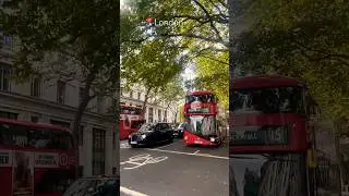 Sunny days in London #travel #inspiration #shorts #city #london