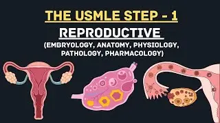 First Aid For The USMLE STEP 1 2025 | Reproductive